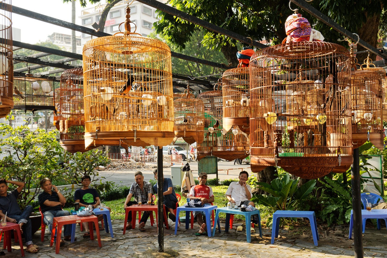 Bird's Cafe, Ho-Chi-Minh-Stadt