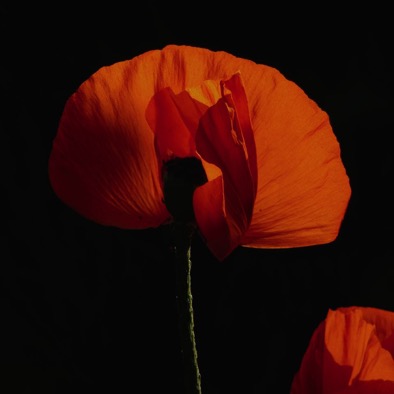 2009 052
