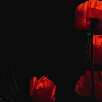 2009 053