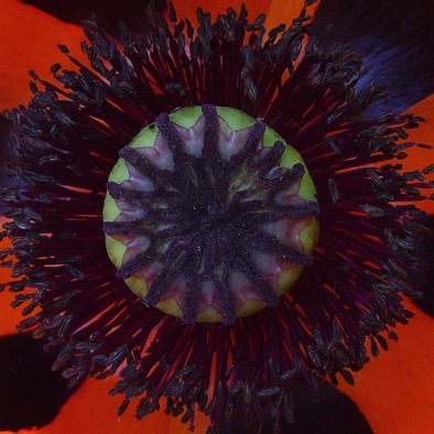 2009 054