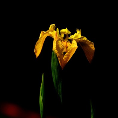 2011 05