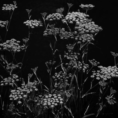2014 08 2