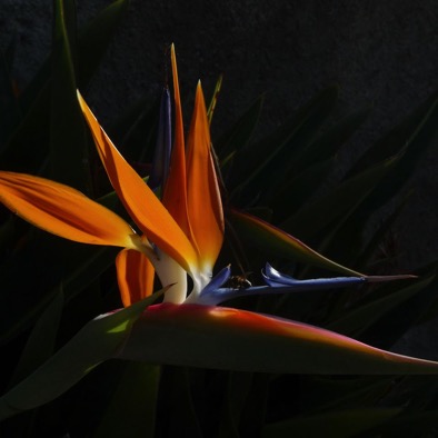 2009 120