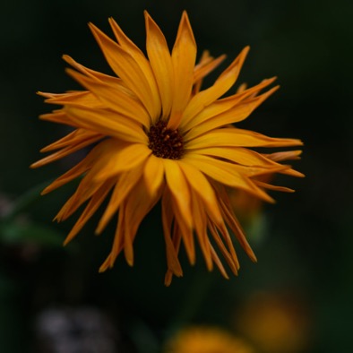 D75_1270.jpg