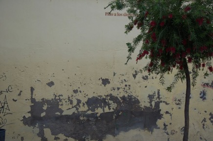 2013 03 8.jpg