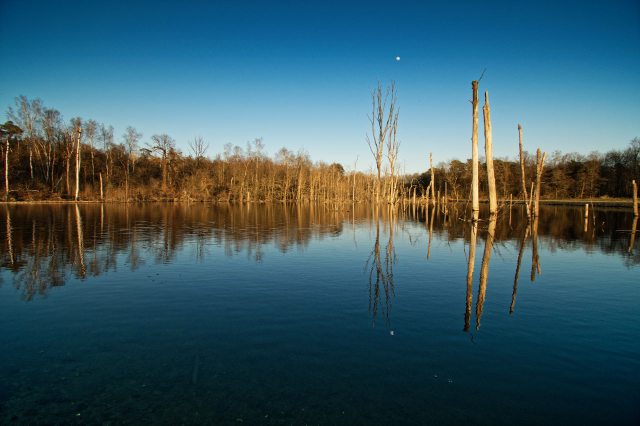 Bergsenkungssee, Kirchhellener Heide