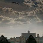DSC_1347.jpg