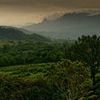 DSC_0125.jpg