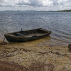 DSC_0203-1.jpg