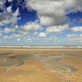 D75_2407.jpg