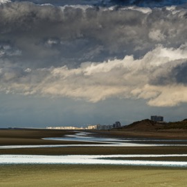 D75_1728.jpg