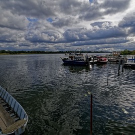 D75_4573-1.jpg